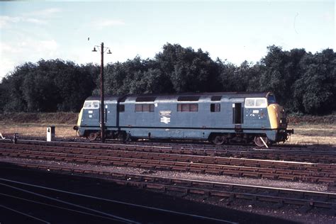 1000 Images About Class 43 North British Warship Locos On Pinterest