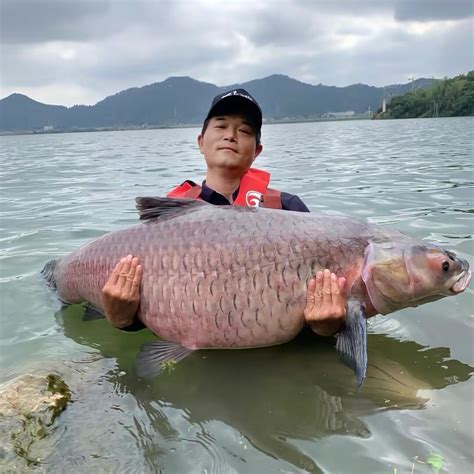 刘松松 中国钓鱼运动协会特级竞钓大师