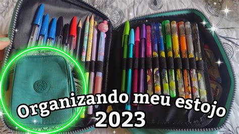 Organizando Meu Estojo Youtube