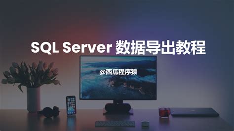 Sql Server 数据导出教程：基于查询语句的高效导出方法 西瓜程序猿 博客园