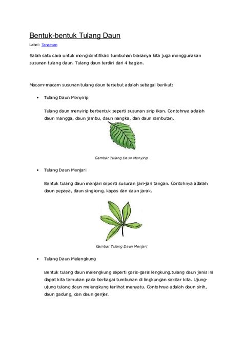 (DOC) Bentuk-bentuk Tulang Daun | Greend amelia - Academia.edu