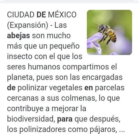 Por qué las abejas son importantes para la vida Brainly lat