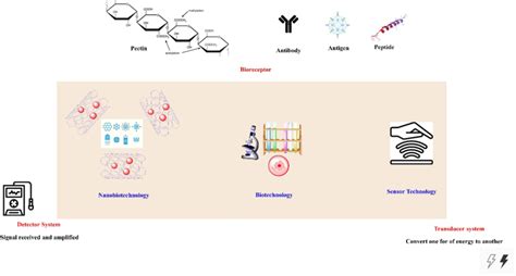 Scheme of different applications of nanobiosensors. | Download ...