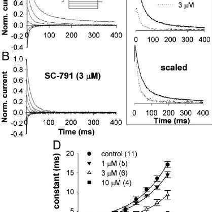 Effects of SC-791 on activation of the K v 2.1 channels. | Download ...