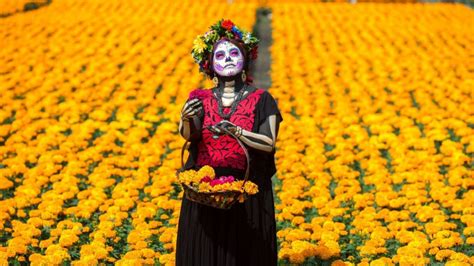 Leyenda La Flor De Cempasuchilleyendasparaninos Diademuertos