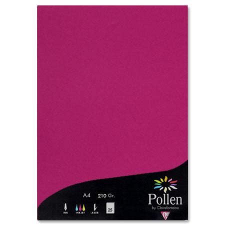 Pollen Feuilles Papier A G Scrapmalin