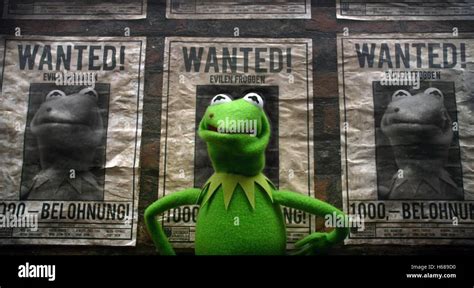 Muppets Most Wanted Kermit High Resolution Stock Photography and Images ...