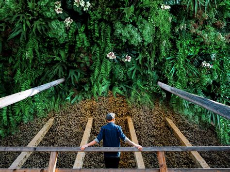 Landesgartenschau Bad D Rrenberg Gut Mit Zug