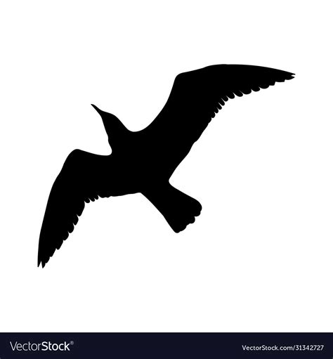 Flying Seagull Bird Black Silhouette Isolated Vector Image