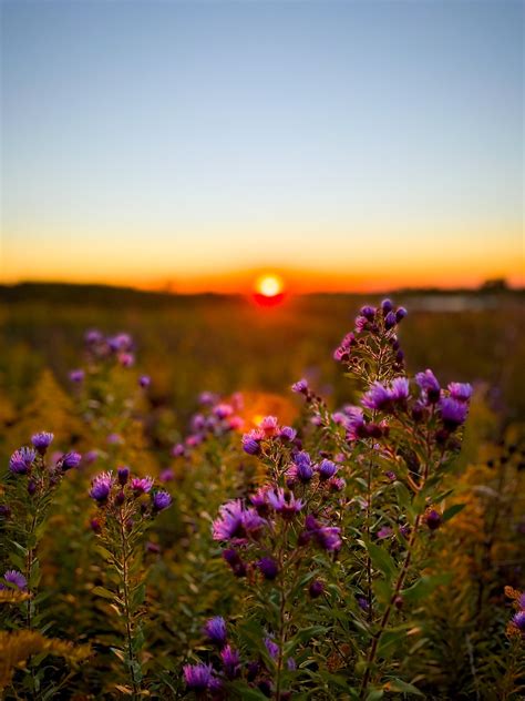 Prairie Sunset