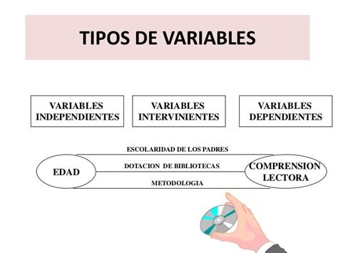 Clasificacion De Las Variables Economicas Bourque