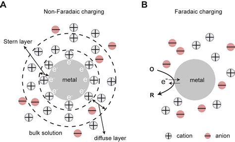 Active Plasmonic Nanoantenna An Emerging Toolbox From Photonics To Neuroscience