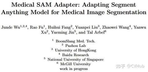 视觉大模型系列 Msa：一种简单强大的医学 Sam 适配器，轻松强化 Sam 到指定领域 知乎