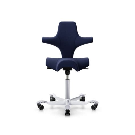 Hag Capisco Sale The Active And Ergonomic Office Chair