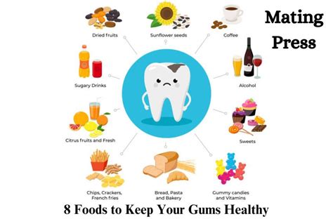 8 Foods To Keep Your Gums Healthy A Guide For Oral Health