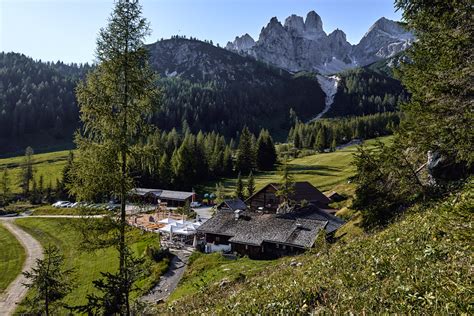 Alpine Pastures In The Dachstein Region Experience Pure Nature