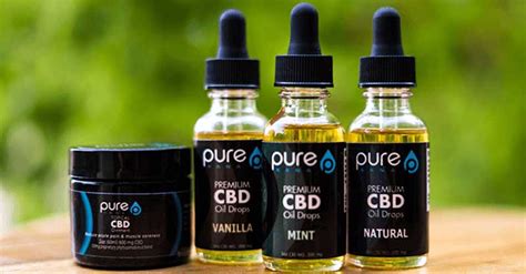 10 Best Cbd Oils And Cbd Products On The Market Herb