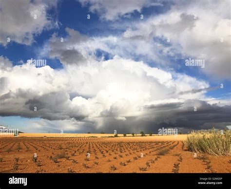 Agricultural landscape castile la mancha hi-res stock photography and images - Alamy