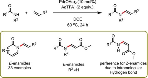 Stereoselective Synthesis Of Enamides Through Palladium‐catalyzed