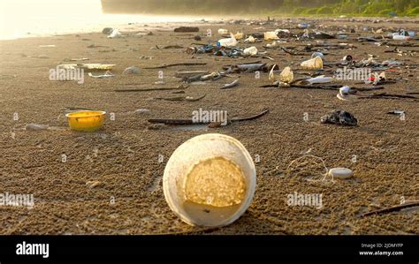 Inquinamento Plastico Della Riva Del Mare Spiagge Dell Oceano