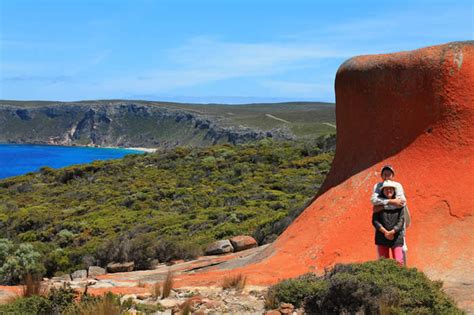 Day Kangaroo Island Wd Tour