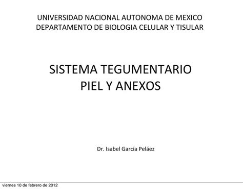 Sistema Tegumentario Piel y Anexos Enfermería uDocz