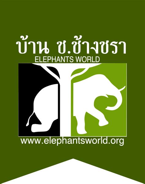 The 3 Elephant Species • ElephantsWorld