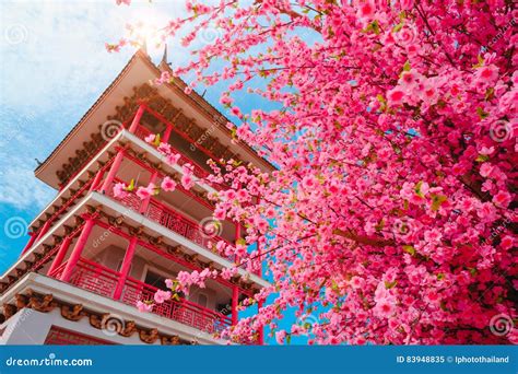 Flores De Sakura Ou Flores De Cerejeira E Pagode No Estilo De Jap O No