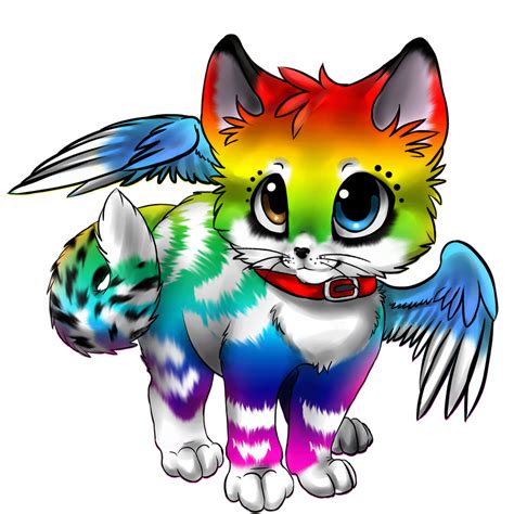 Winged Kitten Custom By Okami Heart On Deviantart