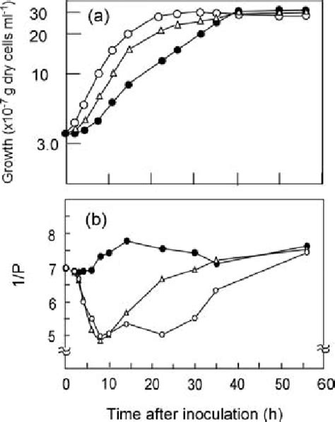 The Time Course Of Cell Growth A And Membrane Fl Uidity B Of Cells