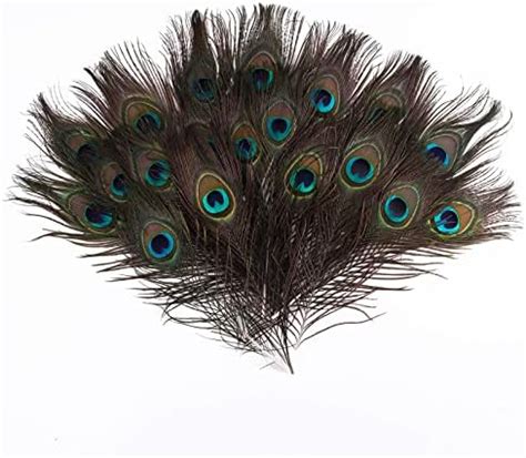 Peacock Feathers 20 Pcs Peacock Feathers Long 23 30cm Soft Pheasant