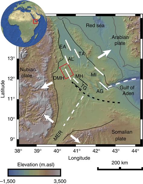 Topography And Tectonics Of Afar Rifting Along The On Land Sections Of