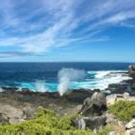 Viajar en Crucero a las Islas Galápagos desde Montenegro