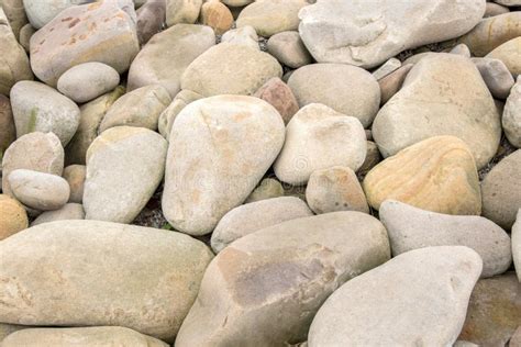 Varias Piedras Lisas Hermosas Redondas En La Costa Foto De Archivo