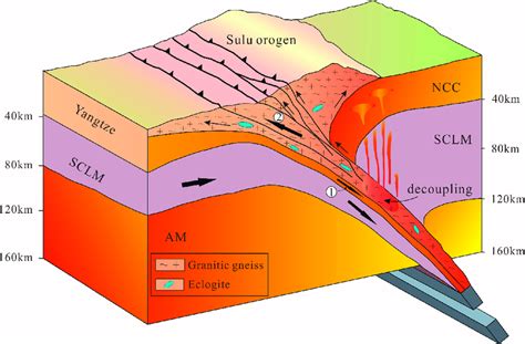 Schematic Diagram Showing The Subduction And Decompression Process