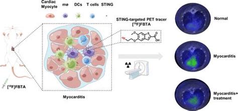 Sting Pet Molecular Pharmaceutics X Mol