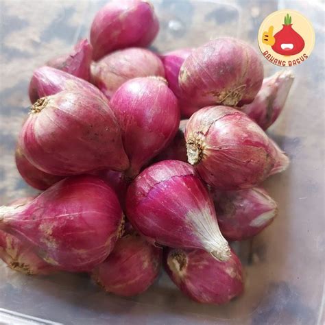 Jual Bawang Merah Bawang Brebes Bawang Super Bawang Merah Brebes 1kg