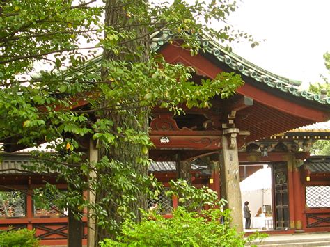 Nezu Shrine Azalea Festival 2012 | Beautiful japanese gardens, Azalea ...