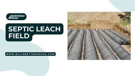 Septic Leach Field Essential Maintenance And Troubleshooting Tips