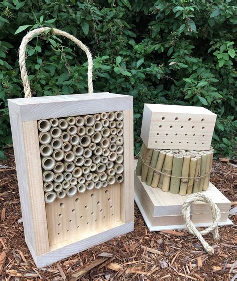 DIY Solitary Native Bee Hotel | Australian Ladybird and Insect House | Mixed Large DIY Kit ...