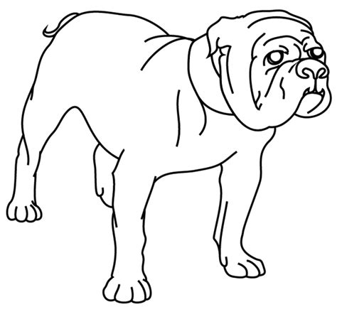 Coloriage à Imprimer Un Chien Le Bouledogue Turbulus Jeux Pour