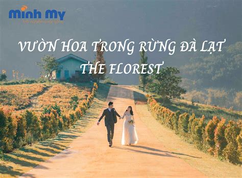 Review vườn Hoa trong Rừng Đà Lạt - Thiên đường các loài hoa