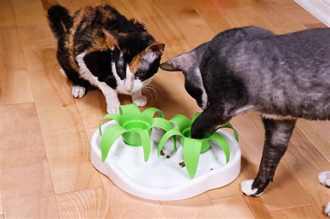 Aïkiou Thin Kat Interactive Cat Puzzle Slow Feeder - Katzenworld Shop