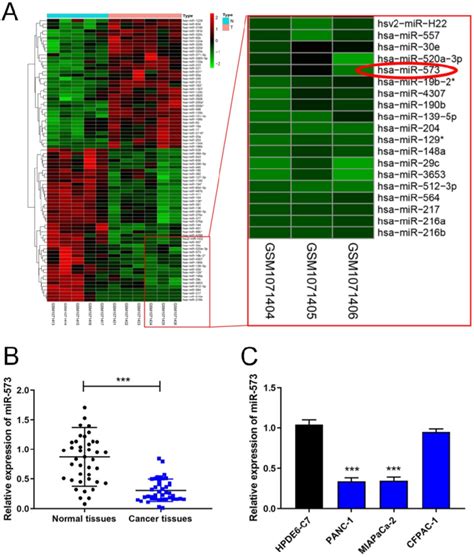 Mir Expression Is Downregulated In Pancreatic Cancer Tissues And