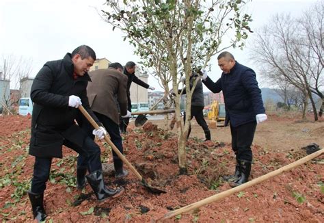 新春添新绿 新年新气象——东城街道全体班子成员参加新春义务植树活动 搜狐大视野 搜狐新闻