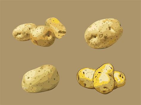 Premium Vector Illustration Of Potato