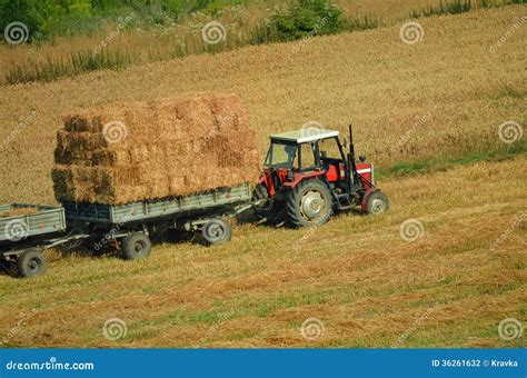 Tractor Collecting Straw In The Field Stock Photo Image Of Ranch