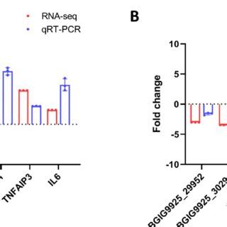 Validation Of Deep Sequencing Results By Qpcr A B The Relative