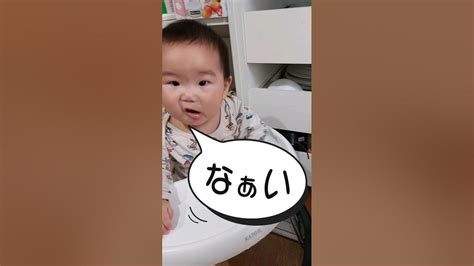 《生後八ヶ月》どこだ Shortvideo 子供 0歳 育児 癒し あかちゃんのいる生活 おしゃべり ショート 赤ちゃん 成長 生後8か月 Shorts Short