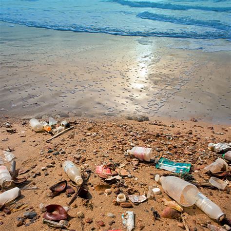 Plastic Pollution On Beaches